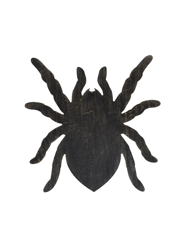 spider